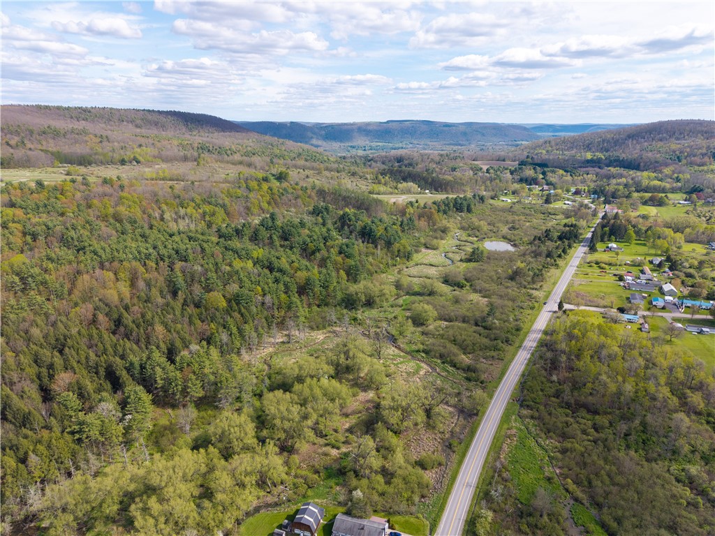 0 County Route 13 Bath, NY 14810 - Photo 19 of 26