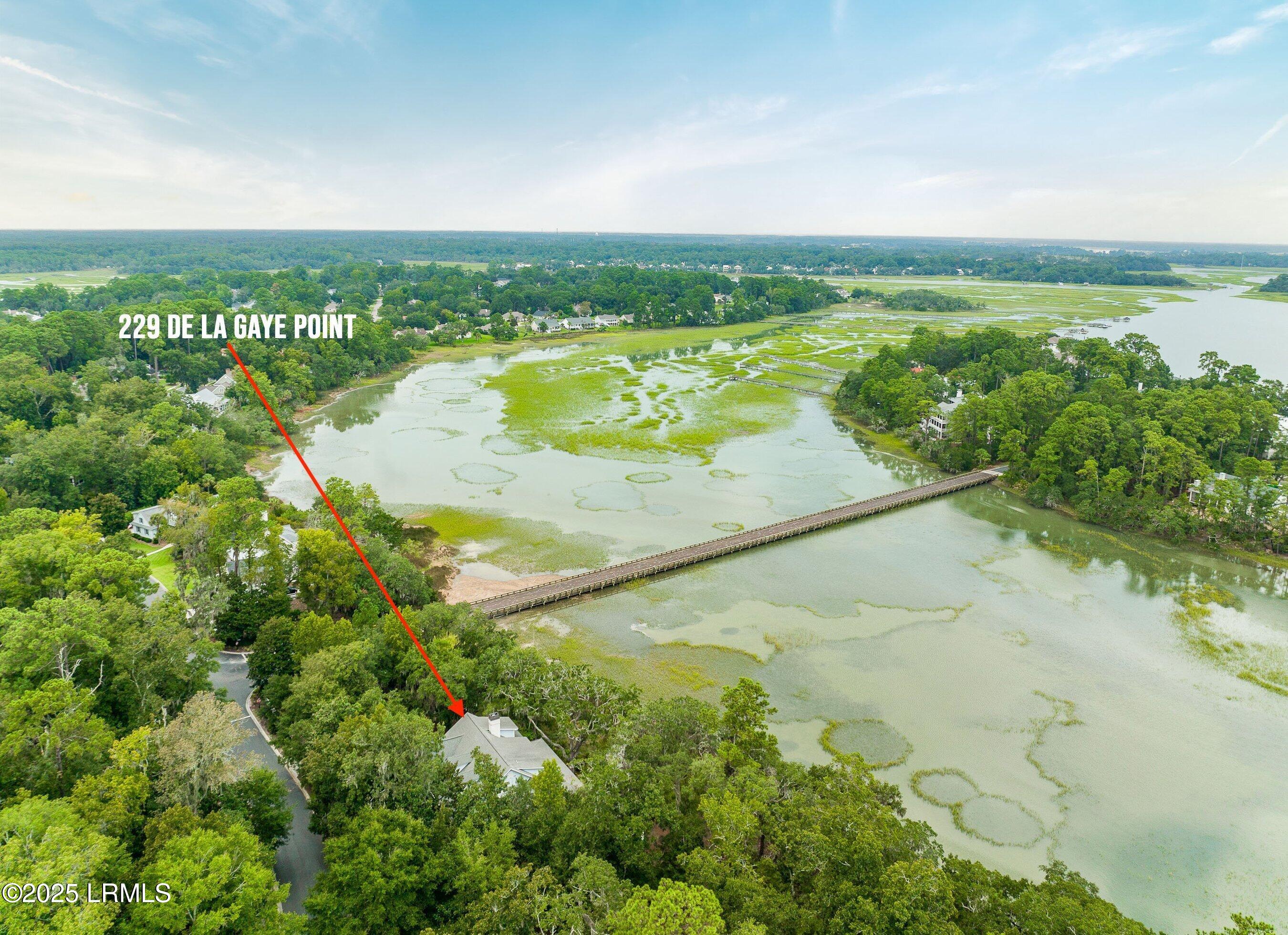 229 De La Gaye Point Beaufort, SC 29902 - Photo 11 of 99 DJI_0109-130-1.jpg-SMALL.JPG-SMALL