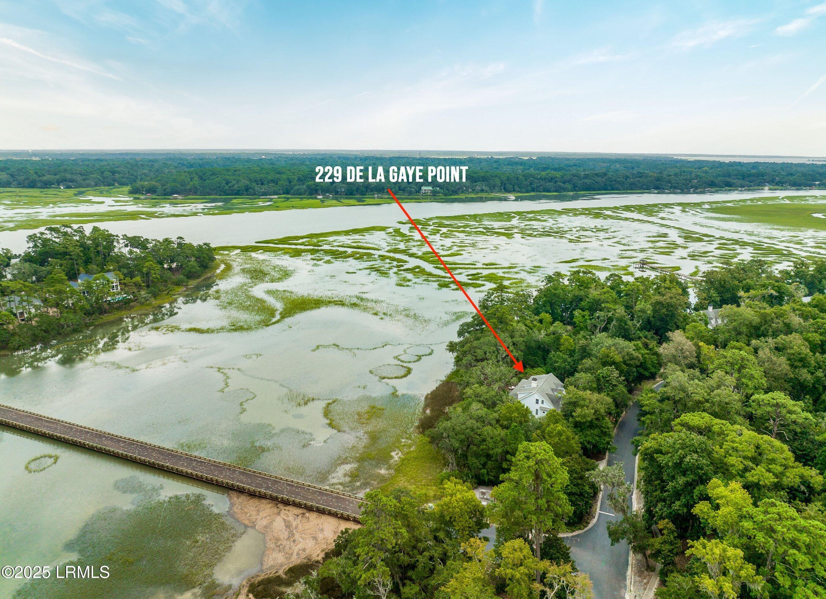 229 De La Gaye Point Beaufort, SC 29902 - Photo 6 of 99 DJI_0105-126-1.jpg-SMALL.JPG-SMALL