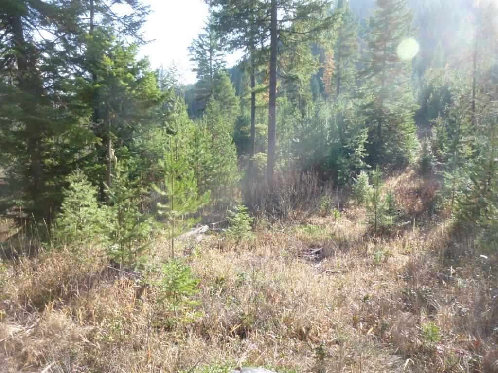 Xx Lot #2 B Xx Road Chewelah, WA 99109 - Photo 1 of 6 Gallery Image 1