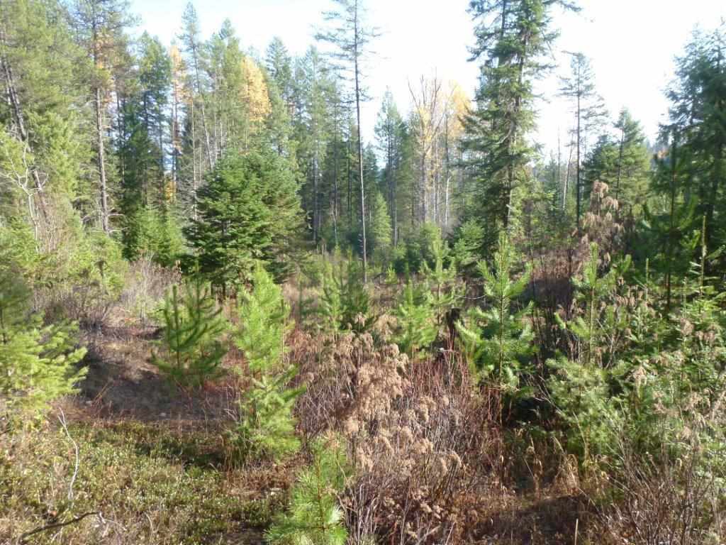 Xx Lot #2 B Xx Road Chewelah, WA 99109 - Photo 2 of 6 Gallery Image 2