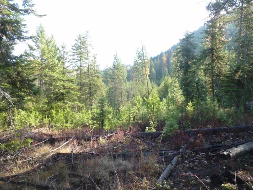 Xx Lot #2 B Xx Road Chewelah, WA 99109 - Photo 5 of 6 Gallery Image 5