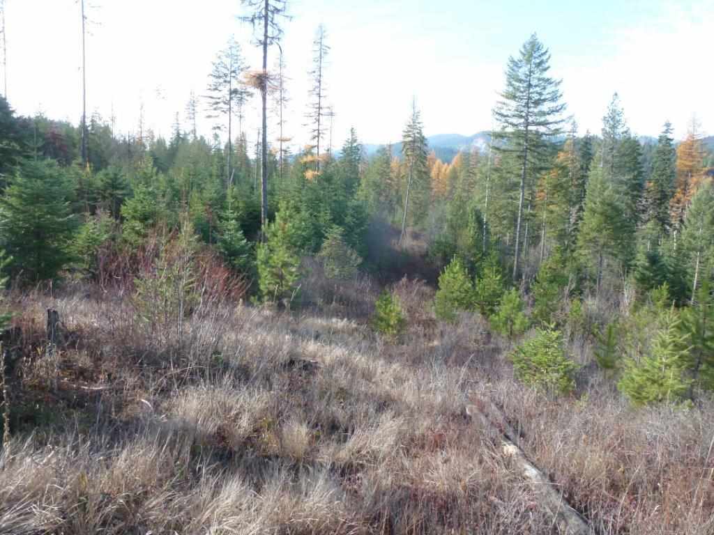 Xx Lot #2 B Xx Road Chewelah, WA 99109 - Photo 6 of 6 Gallery Image 6