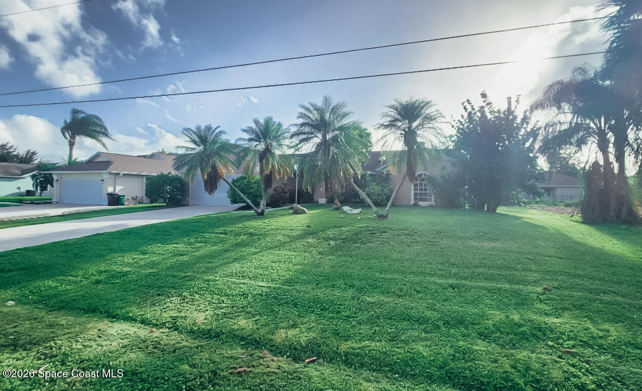 1521 Barber Street Sebastian, FL 32958 - Photo 4 of 33 a view of a yard with a palm tree
