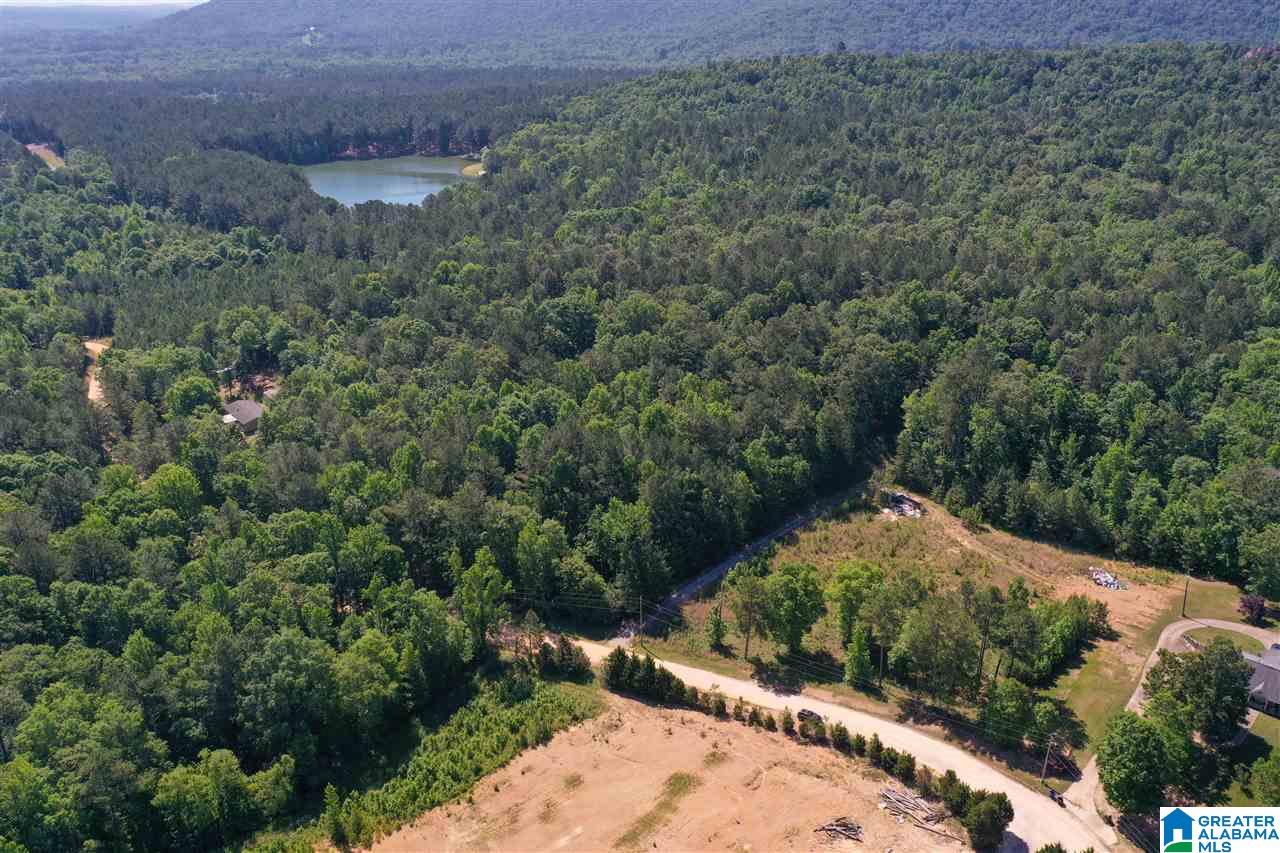 948 Old Deer Creek Road Sterrett, AL 35147 - Photo 17 of 19