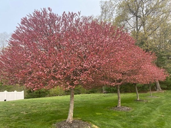 80 Spencer Knowles Road Rowley, MA 01969 - Photo 12 of 41 Gallery Image 12