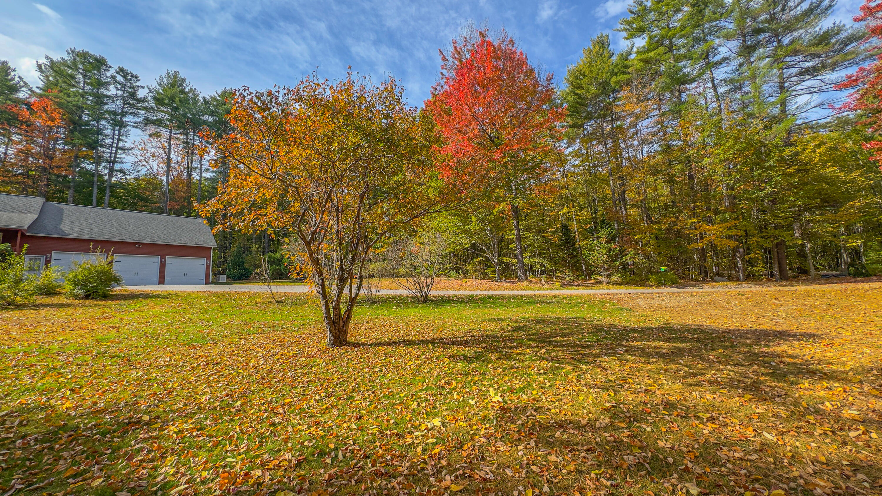 63 George Hannon Road Casco, ME 04015 - Photo 64 of 127 Front yard view