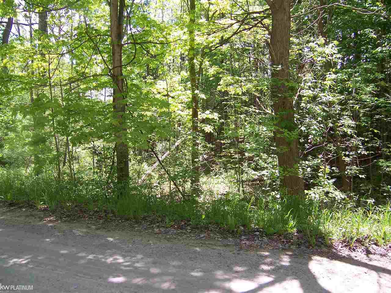 Lot B Lot B Lashbrook Road Goodells, MI 48027 - Photo 2 of 2