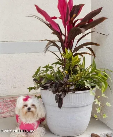 $254,800 | 195 River Rdg Place, Welaka, FL 32193