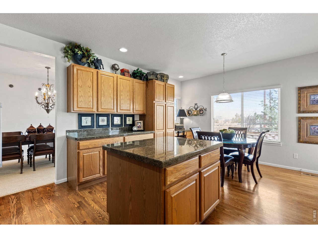 8316 Briar Ridge Drive Castle Pines, CO 80108 - Photo 15 of 50