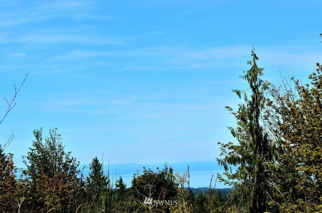 0 Watershed Road Port Angeles, WA 98362 - Photo 14 of 15