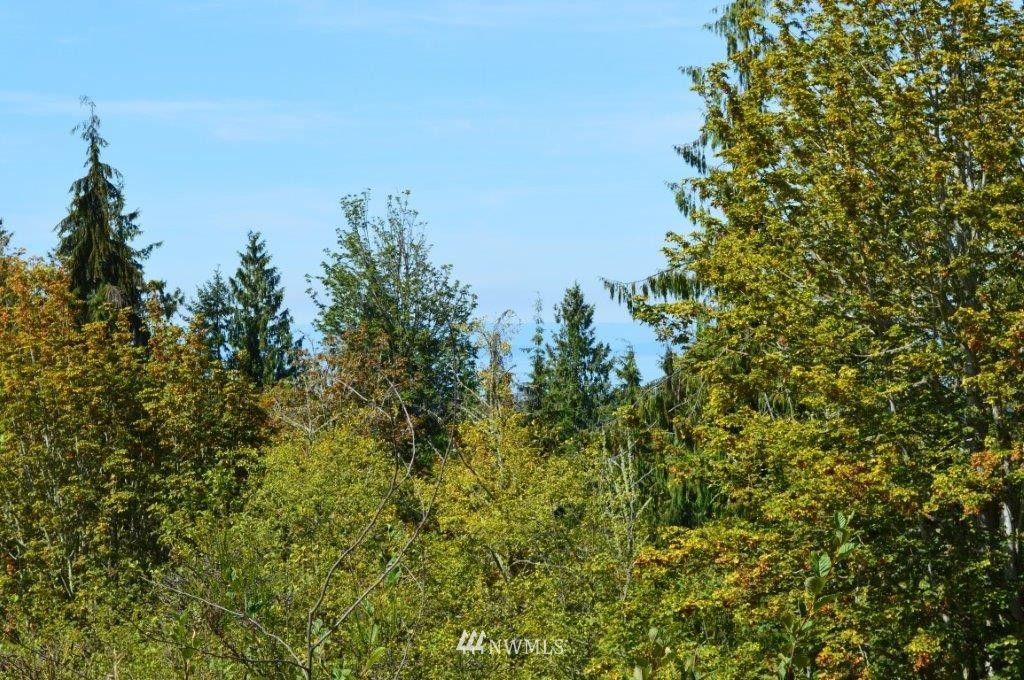 0 Watershed Road Port Angeles, WA 98362 - Photo 15 of 15