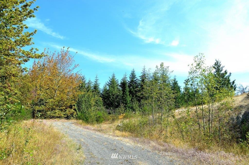 0 Watershed Road Port Angeles, WA 98362 - Photo 3 of 15