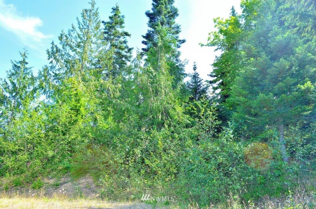 0 Watershed Road Port Angeles, WA 98362 - Photo 5 of 15