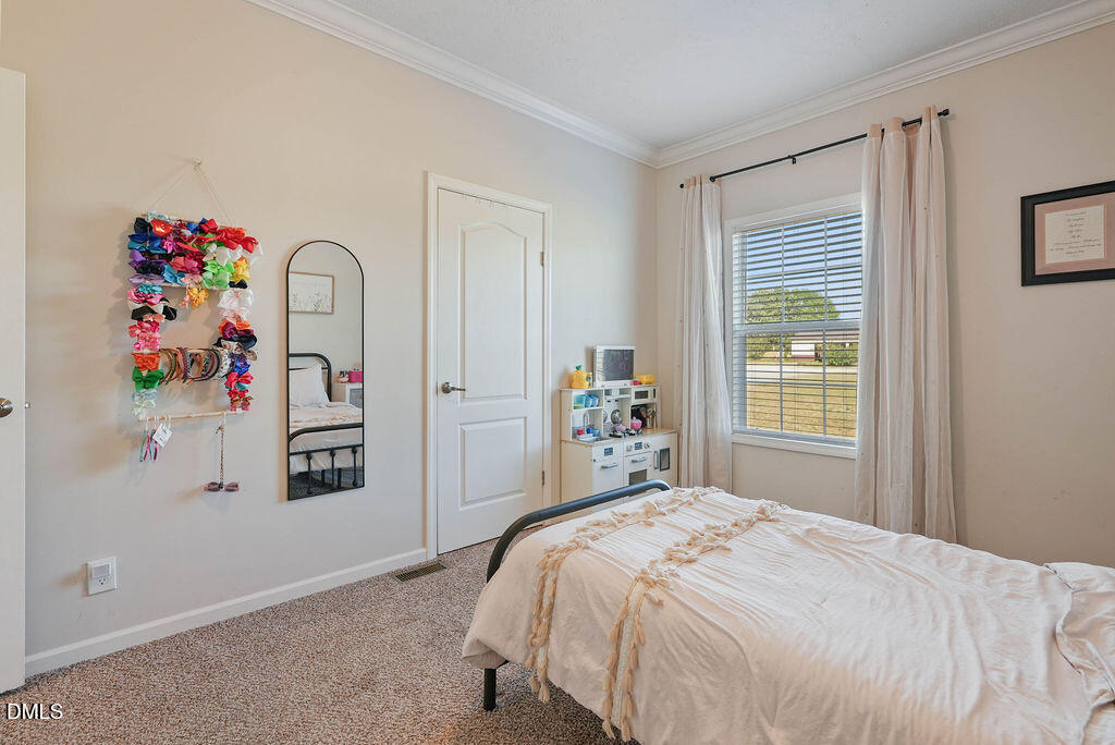 361 Camelia Road Benson, NC 27504 - Photo 23 of 41