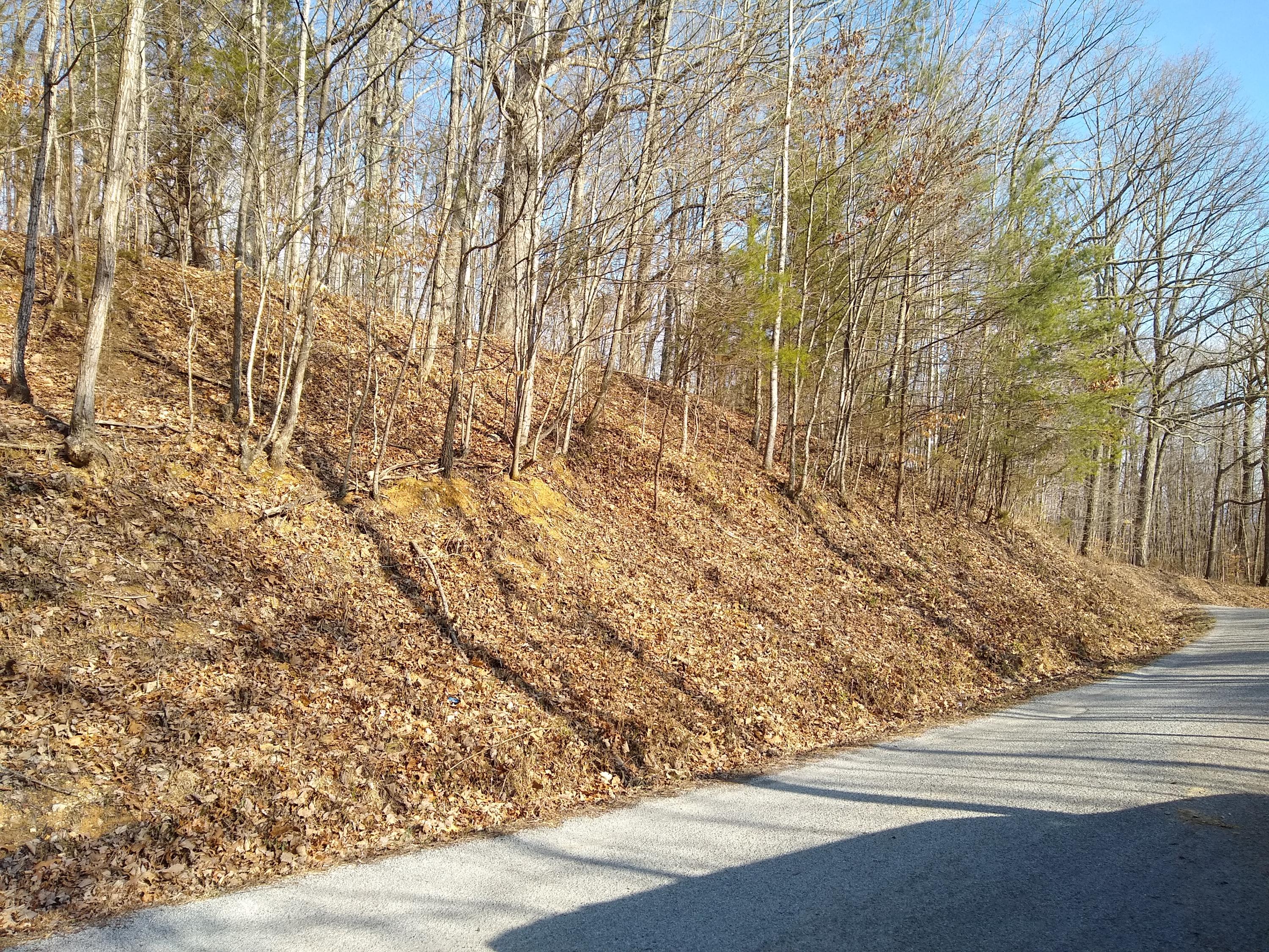 Cardwell Ridge Rd Road New Tazewell, TN 37825 - Photo 3 of 7 IMG_20190131_145400559