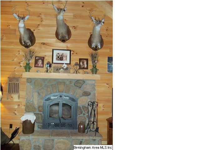 2995 County Road 49 Fayette, AL 35555 - Photo 2 of 32