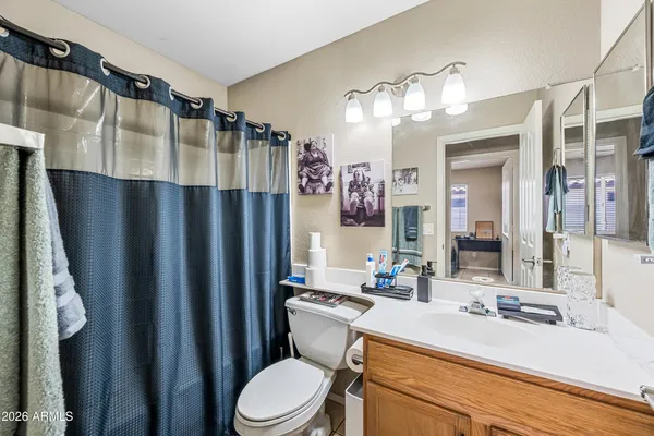 a bathroom with a sink a toilet a mirror a vanity and shower