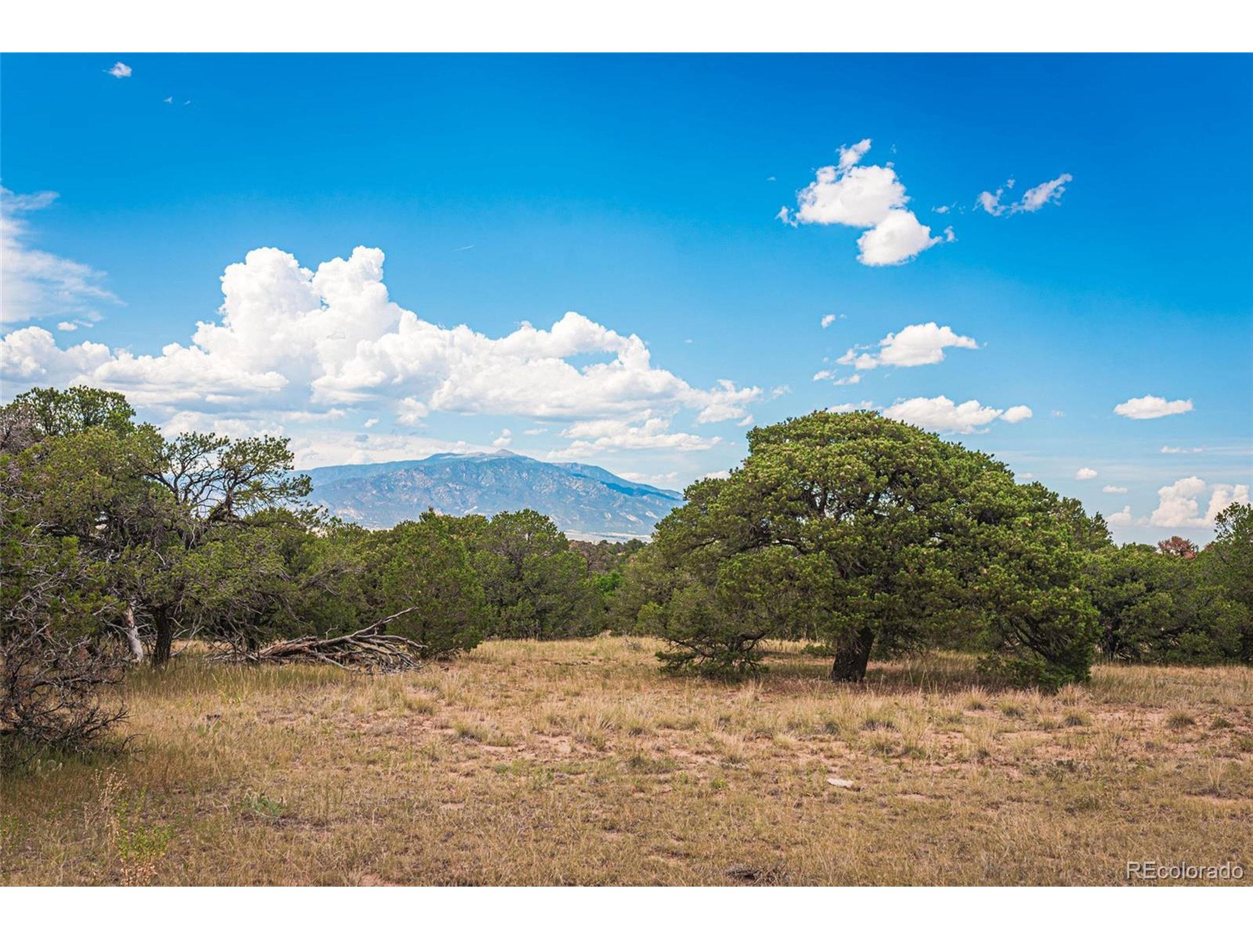 521 County Road Walsenburg, CO 81089 - Photo 5 of 29 a view of a yard
