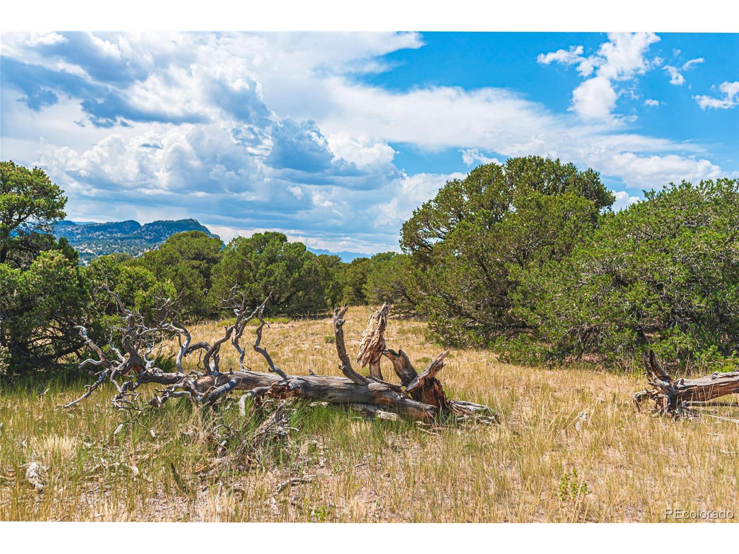 521 County Road Walsenburg, CO 81089 - Photo 6 of 29 a view of outdoor space and yard