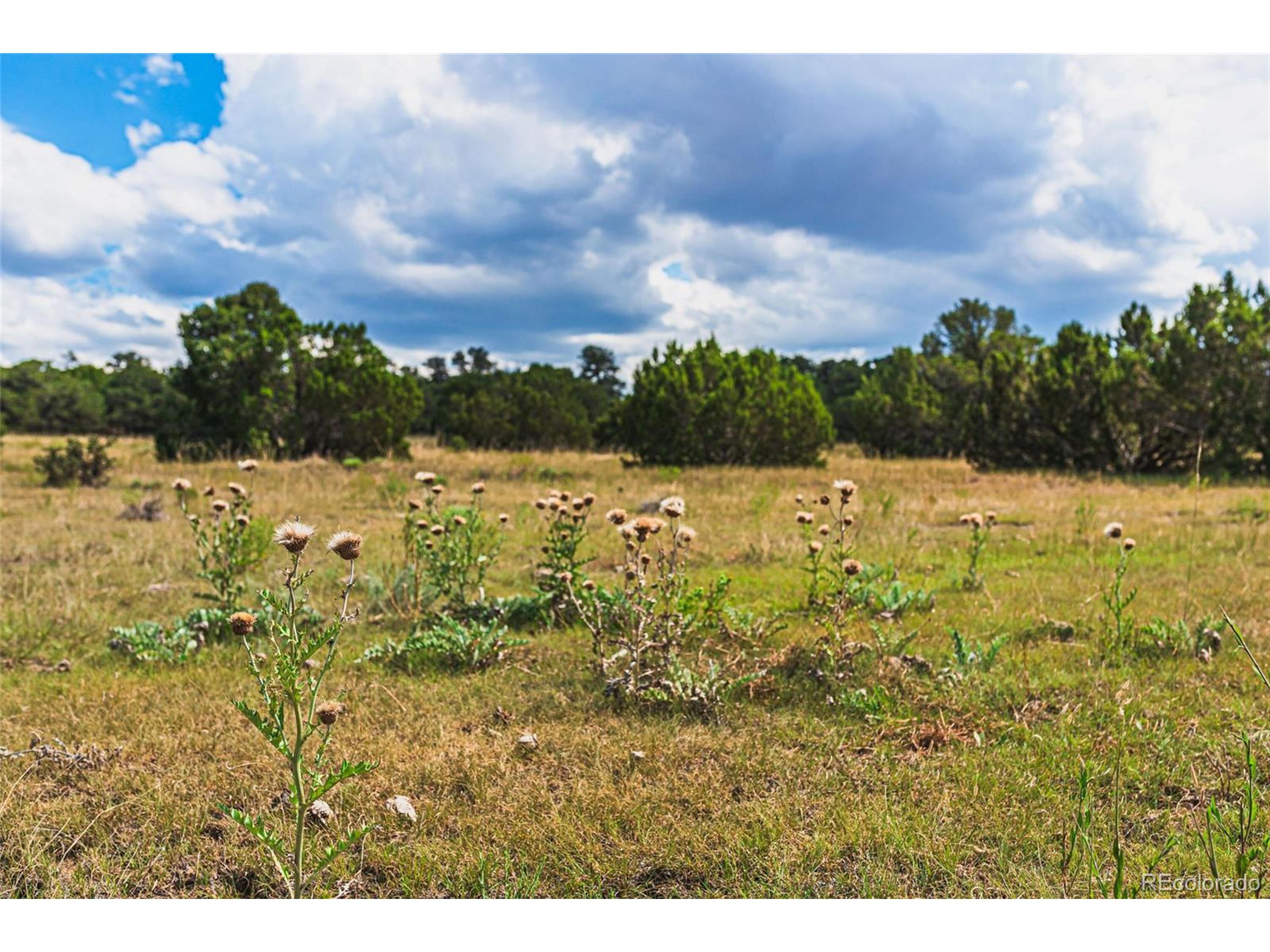 521 County Road Walsenburg, CO 81089 - Photo 7 of 29 a view of an ocean from a yard