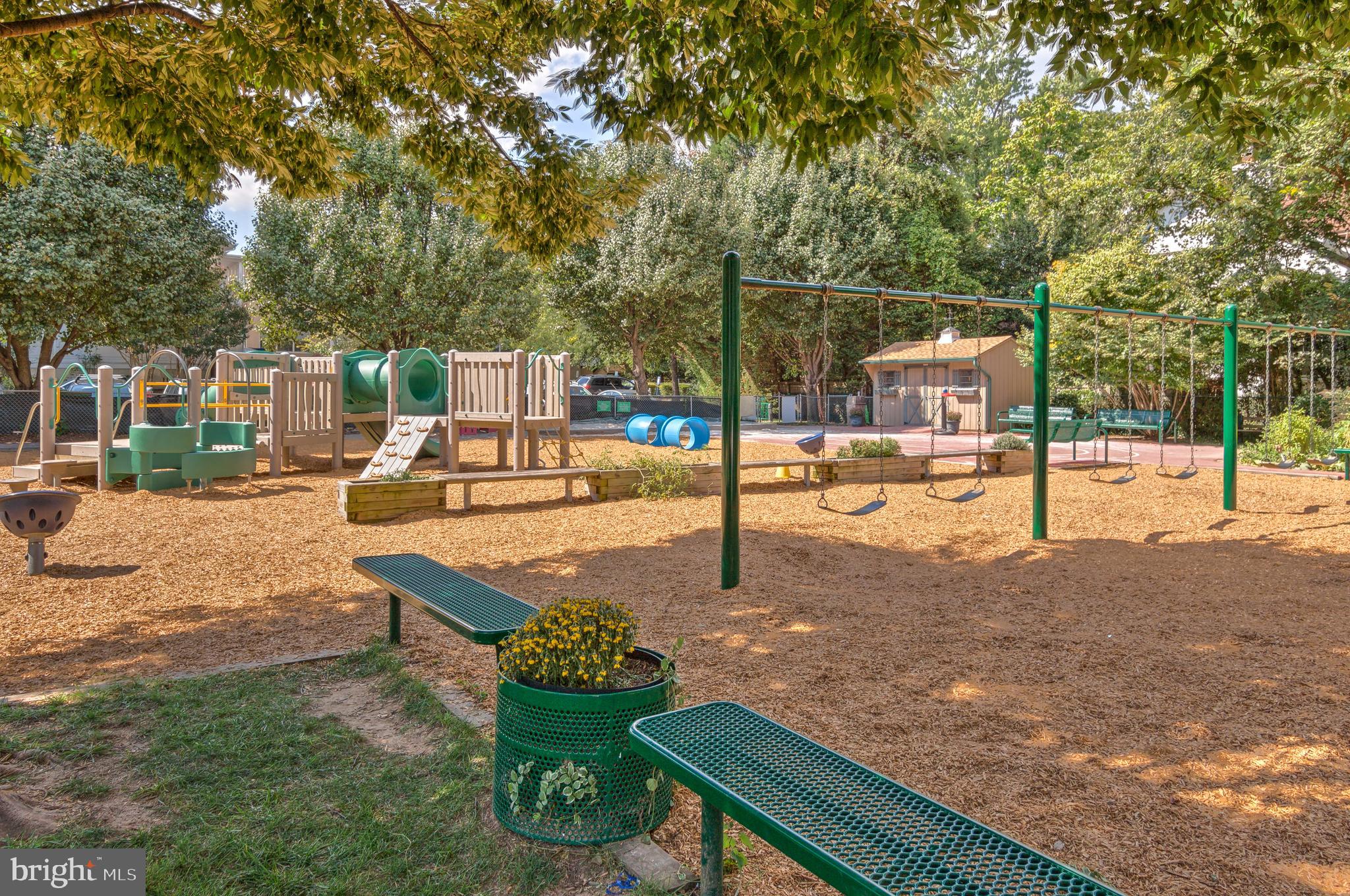 3705 Spring Street Chevy Chase, MD 20815 - Photo 15 of 18 Gallery Image 15