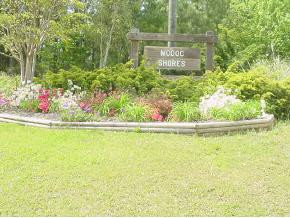 2 Confederate Drive Modoc, SC 29838 - Photo 1 of 1 Main View