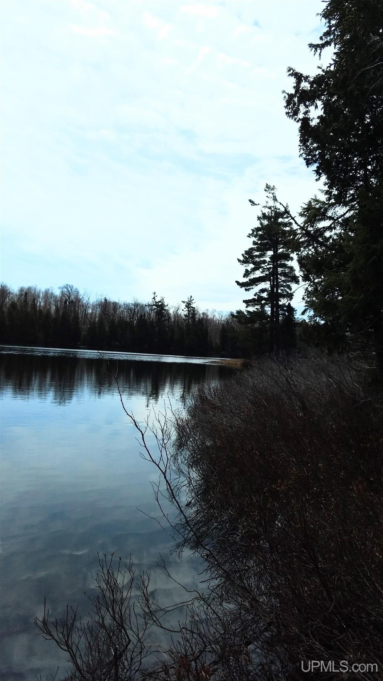 Tbd Tbd Durchman Lake Road Lanse, MI 49946 - Photo 11 of 56