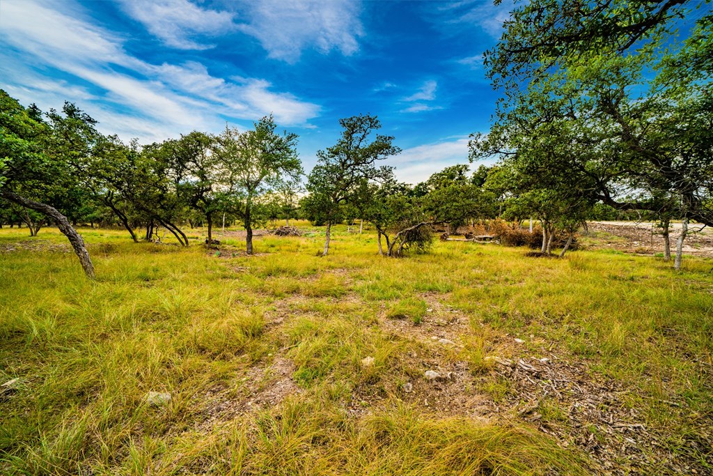 Lot 22 Reservation Road, Unit 22 Harper, TX 78631 - Photo 5 of 6 Gallery Image 5