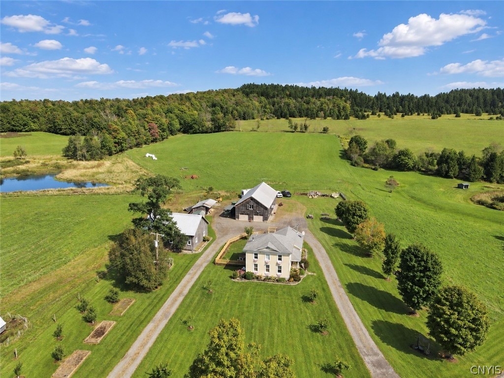 312 Springer Road Lincklaen, NY 13052 - Photo 4 of 50 Gallery Image 4