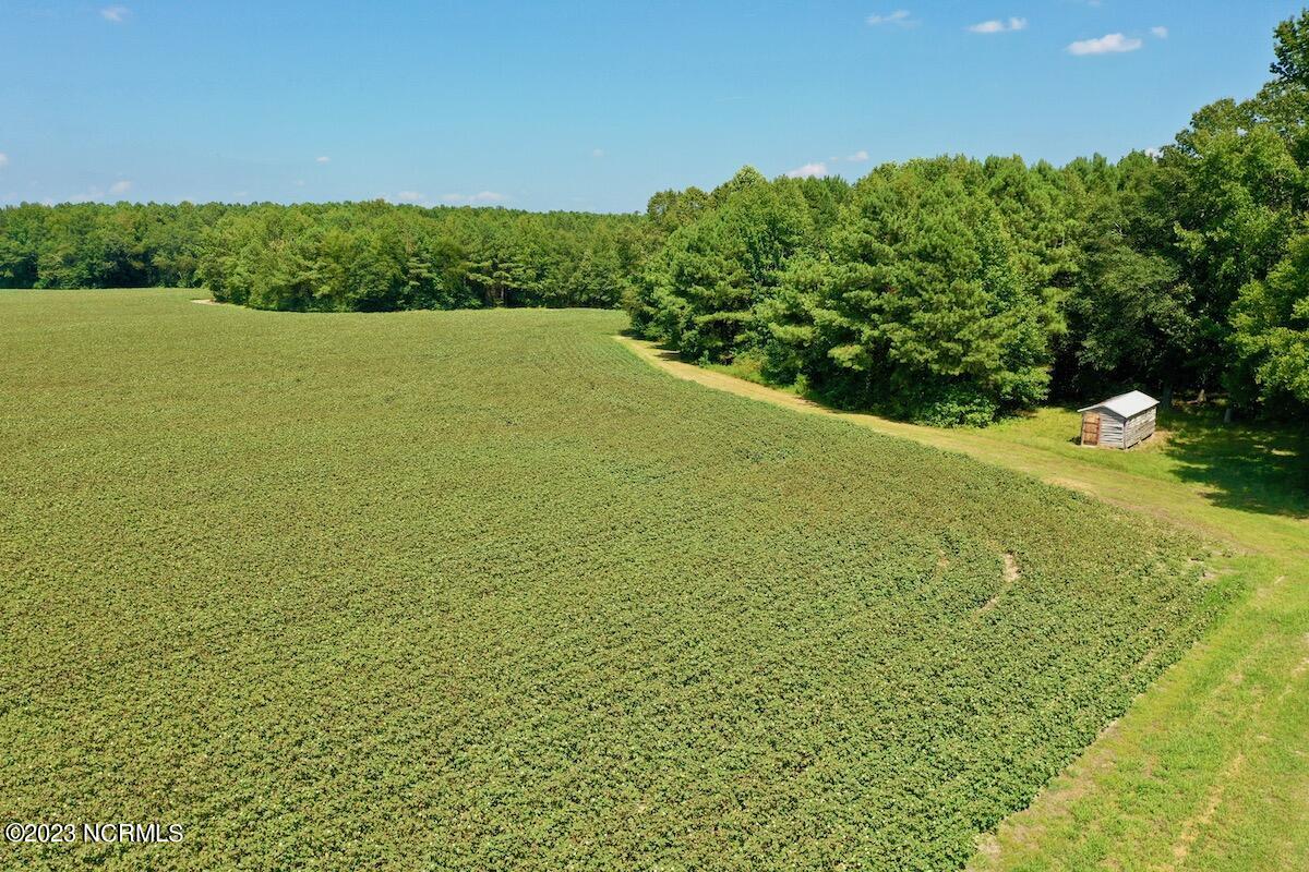 0 Hargraves Road Jackson, NC 27845 - Photo 36 of 50 35
