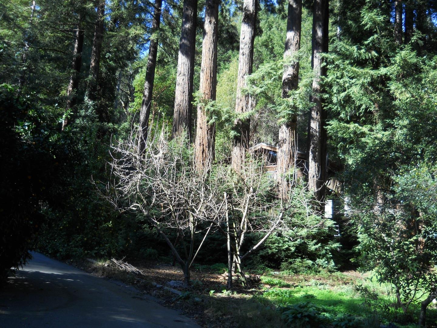 860 Valley View Road Ben Lomond, CA 95005 - Photo 32 of 39 Gallery Image 32