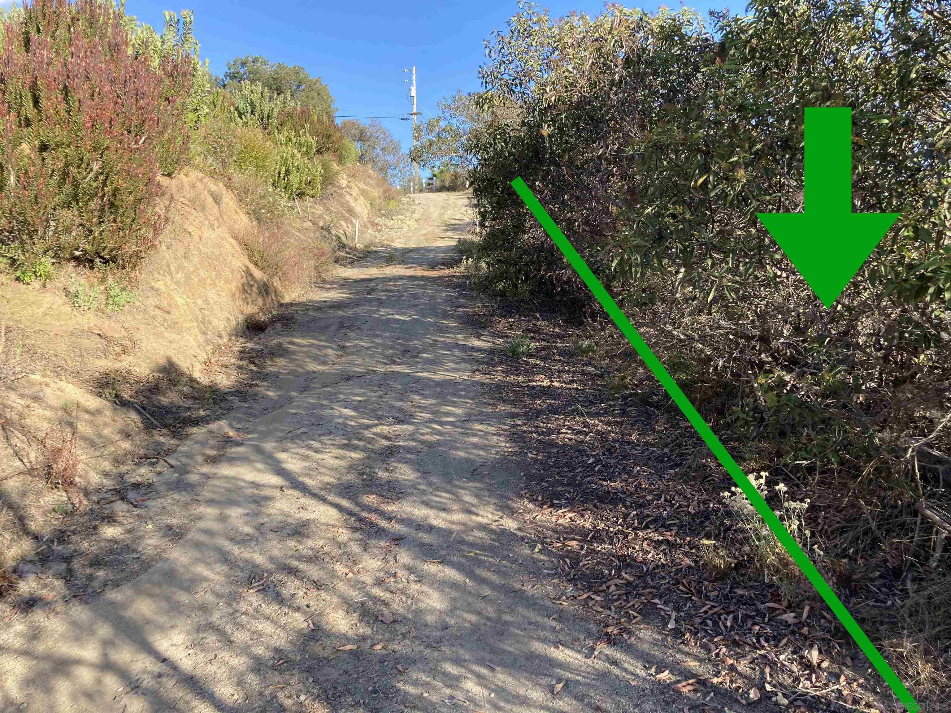 13723 Pauma Vista Drive Unit 1301410600 1301410500  