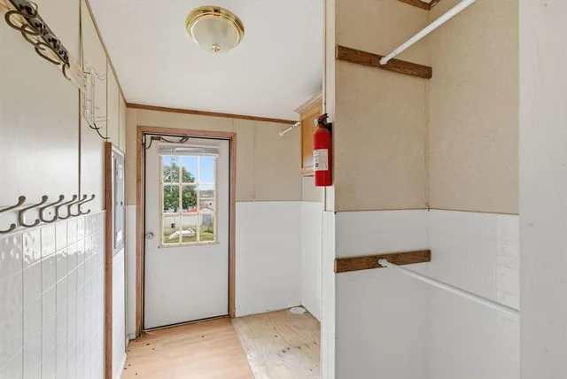 a view of backyard with large tree