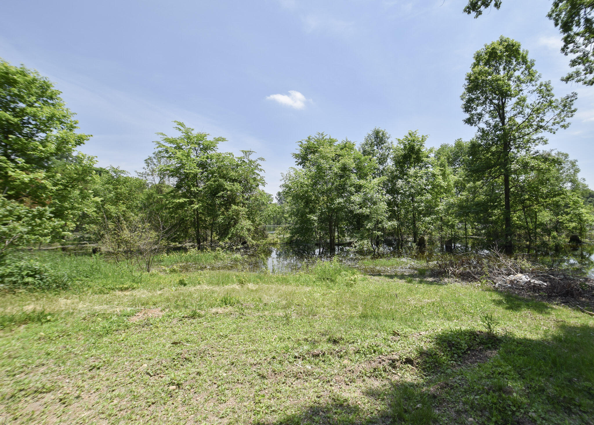 8325 East Chicago Road Horton, MI 49246 - Photo 8 of 48 DSC_0082