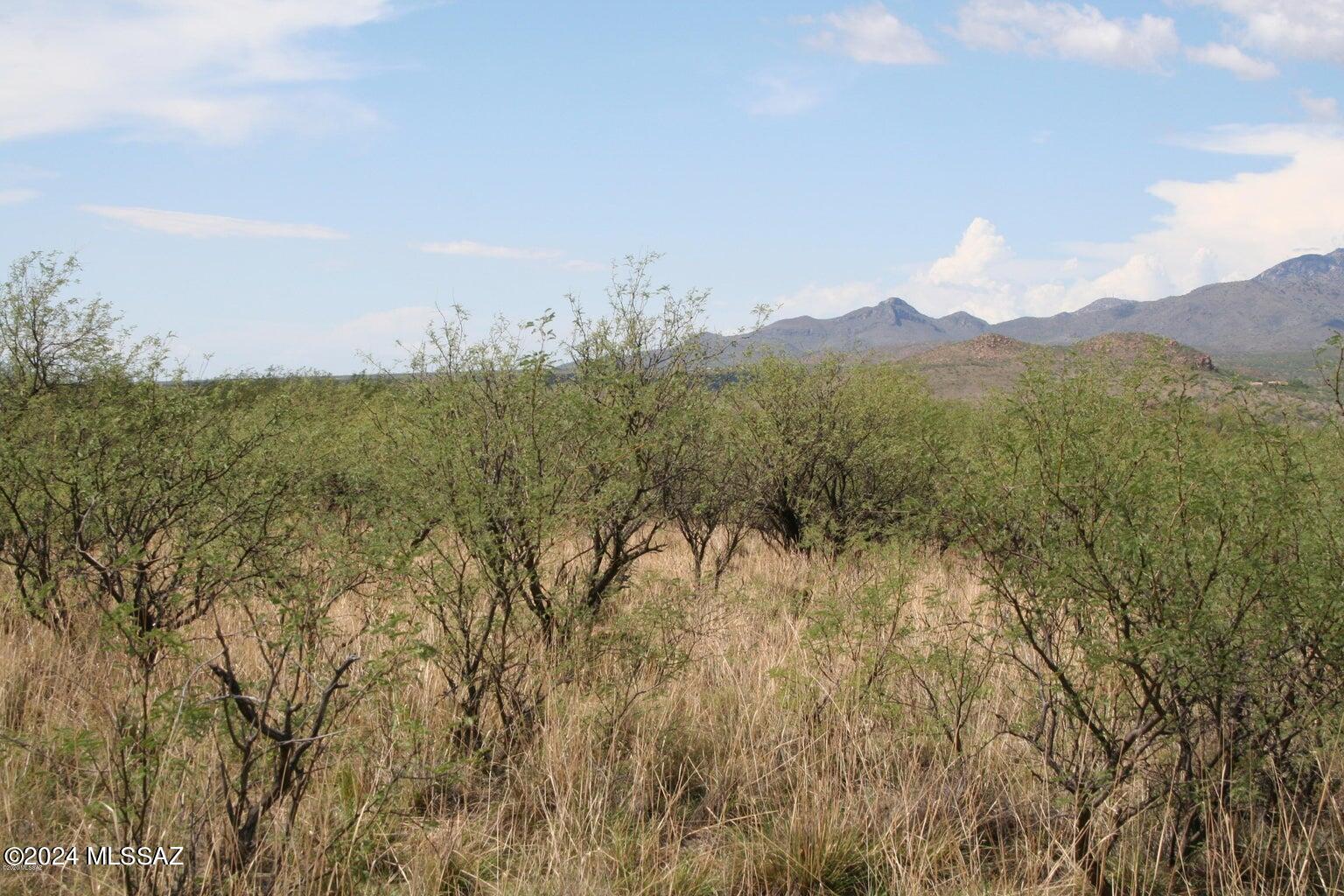 80 Morning Star Drive Rio Rico, AZ 85648 - Photo 24 of 30