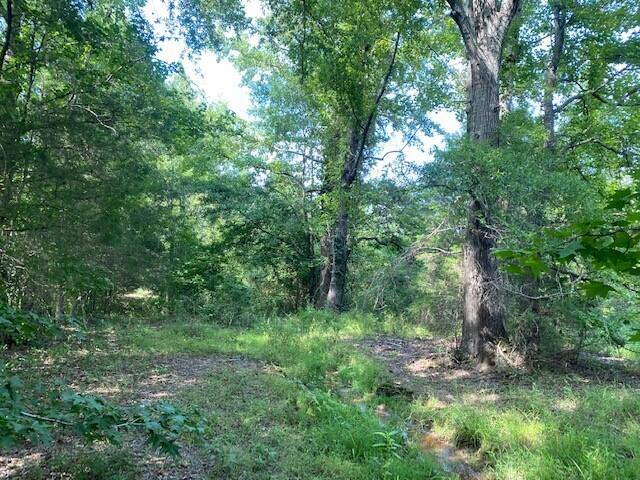 7.05 Francis Spring Road Jasper, TN 37347 - Photo 1 of 5 7
