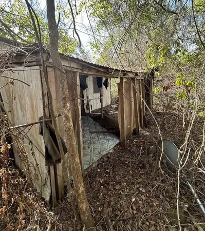 a view of a house with backyard and trees