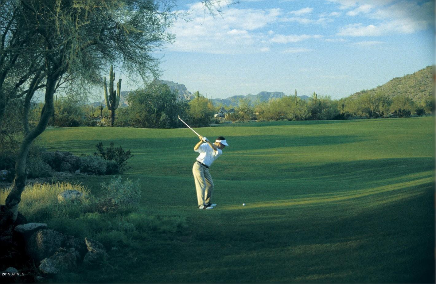 3655 North Hawes Road, Unit 17 Mesa, AZ 85207 - Photo 15 of 18 GOLFER