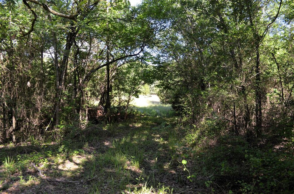 760 County Road, Unit 2315 Eustace, TX 75124 - Photo 16 of 19 a view of a tree in a yard