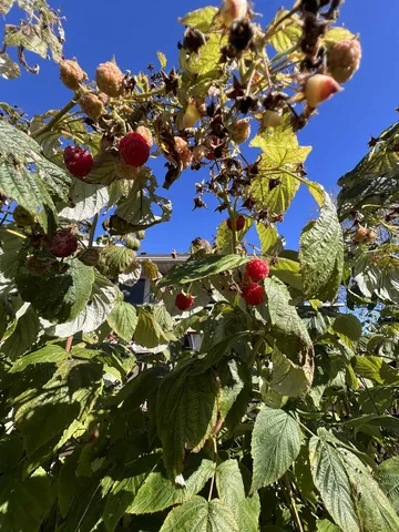 $385,000 | 801 Derek Lane, Viroqua, WI 54665