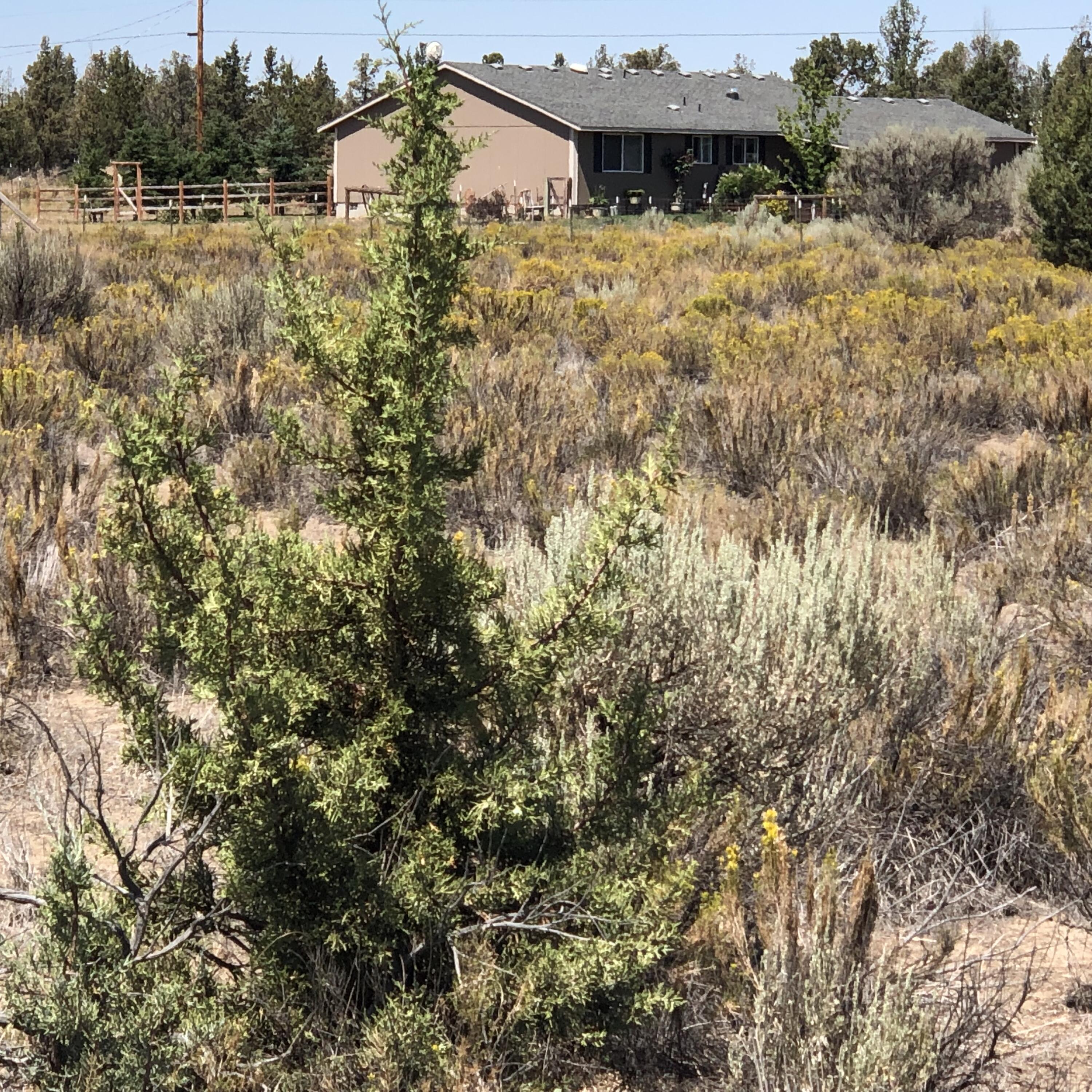 Tl4100 Southeast Custer Road Prineville, OR 97754 - Photo 10 of 16 IMG-3941