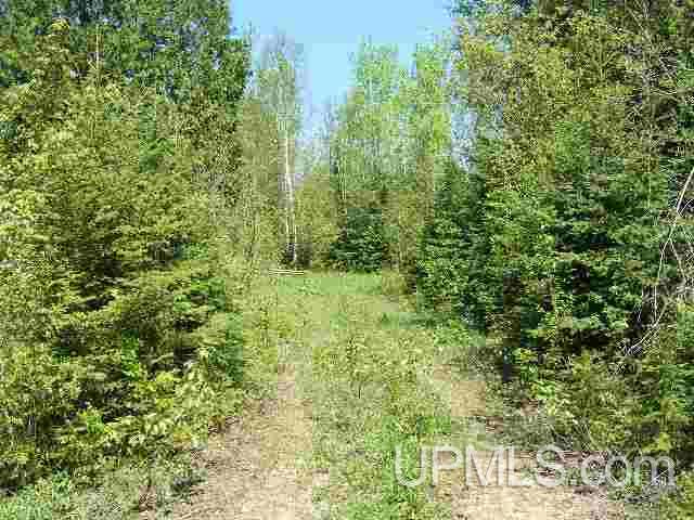 Tbd East Cold Springs Road Chatham, MI 49816 - Photo 2 of 21