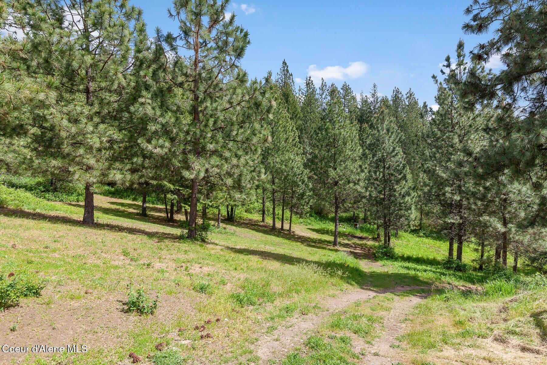 16003 Benewah Creek Road St. Maries, ID 83861 - Photo 24 of 45 Wooded Acreage