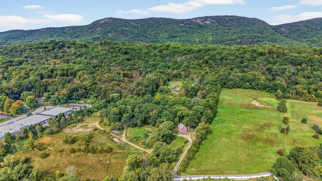 a view of a lush green hillside and a houses