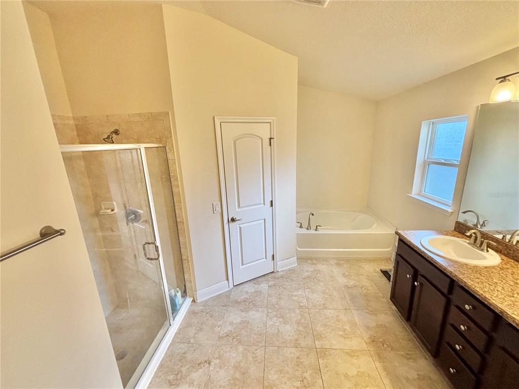 13231 Precept Way Hudson, FL 34669 - Photo 16 of 30 a spacious bathroom with a tub sink and mirror