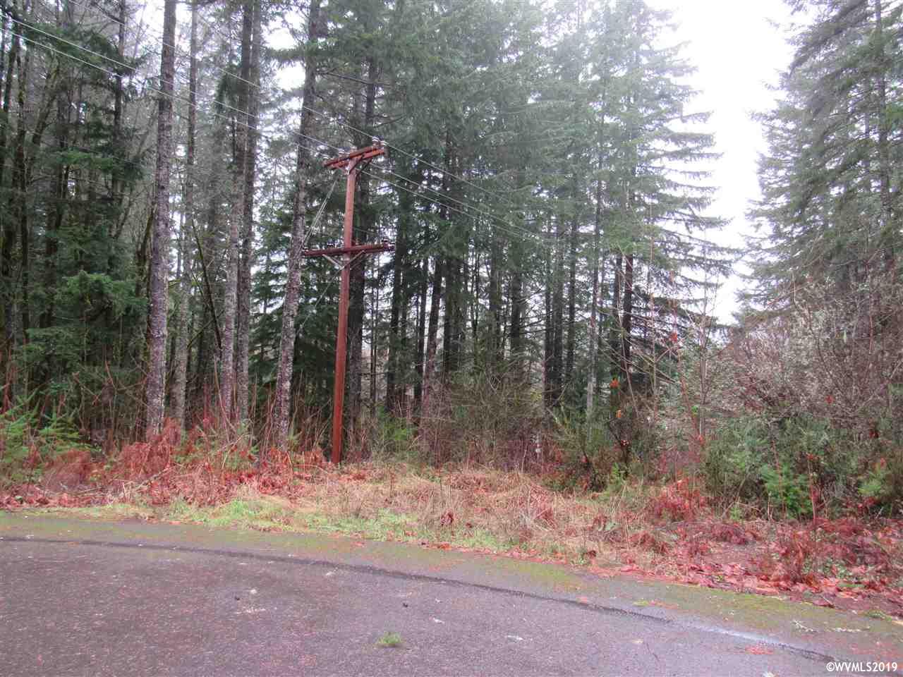 110 Lake Court Detroit, OR 97342 - Photo 3 of 4
