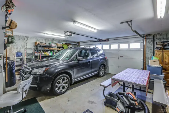 a view of a forest with a tree