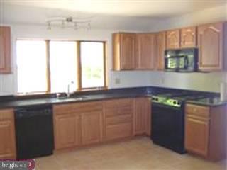 133 Wells Road Doylestown, PA 18901 - Photo 3 of 6 Gallery Image 3