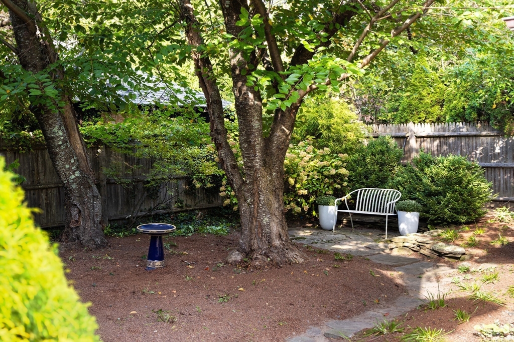 49 Grozier Road Cambridge, MA 02138 - Photo 16 of 32